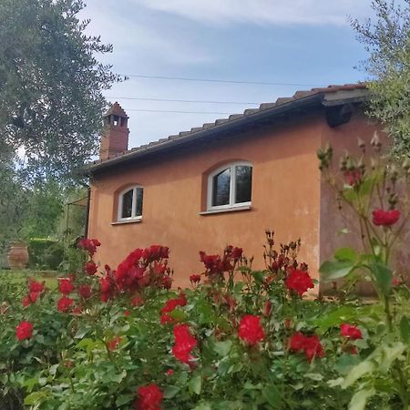 La Casa Delle Rose Villa Terranuova Bracciolini Dış mekan fotoğraf