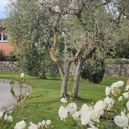 La Casa Delle Rose Villa Terranuova Bracciolini Dış mekan fotoğraf