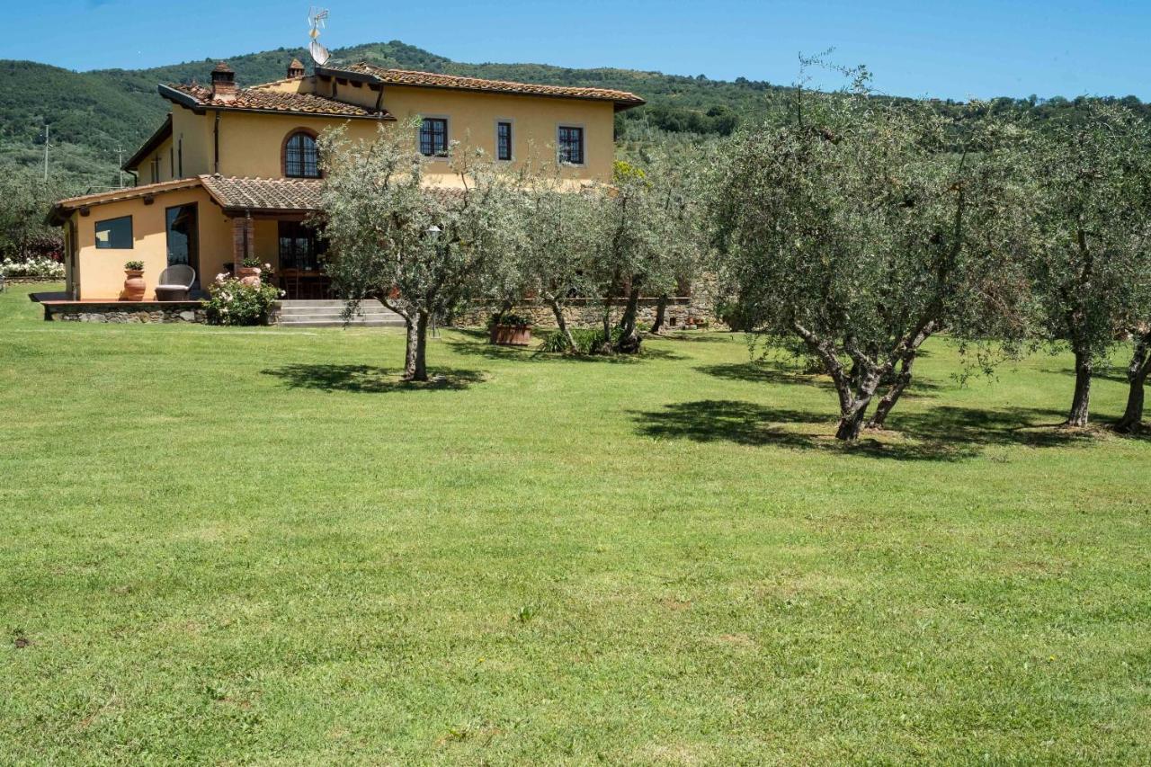 La Casa Delle Rose Villa Terranuova Bracciolini Dış mekan fotoğraf