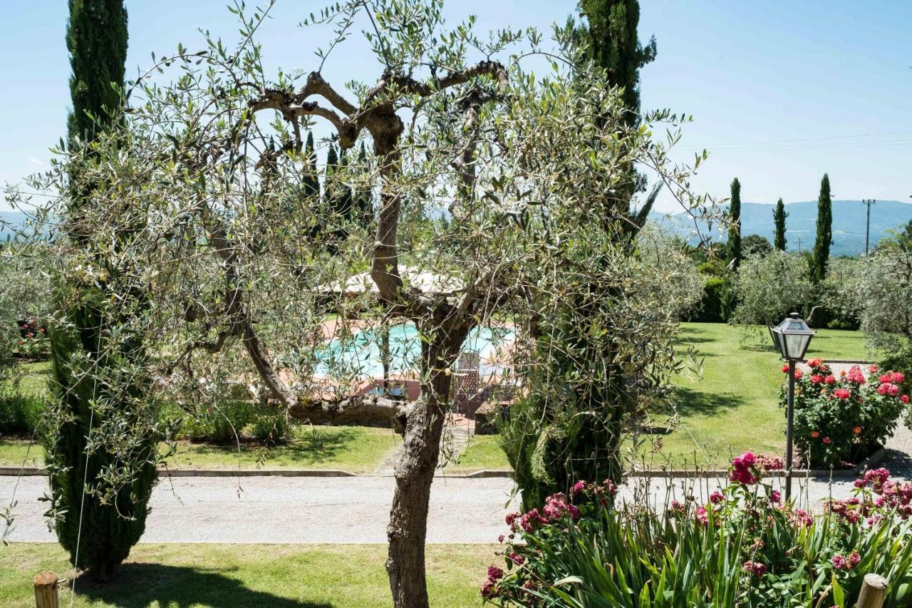 La Casa Delle Rose Villa Terranuova Bracciolini Dış mekan fotoğraf