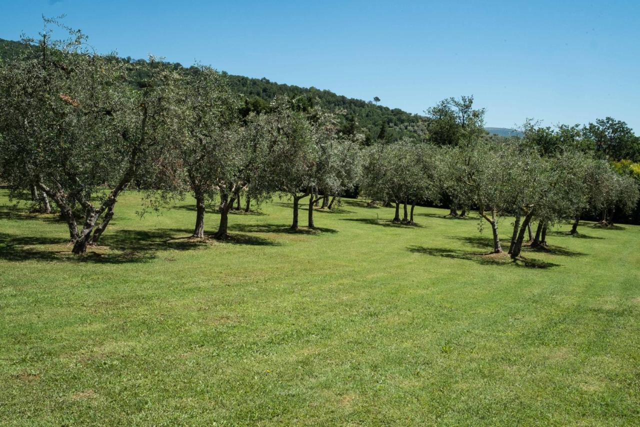 La Casa Delle Rose Villa Terranuova Bracciolini Dış mekan fotoğraf