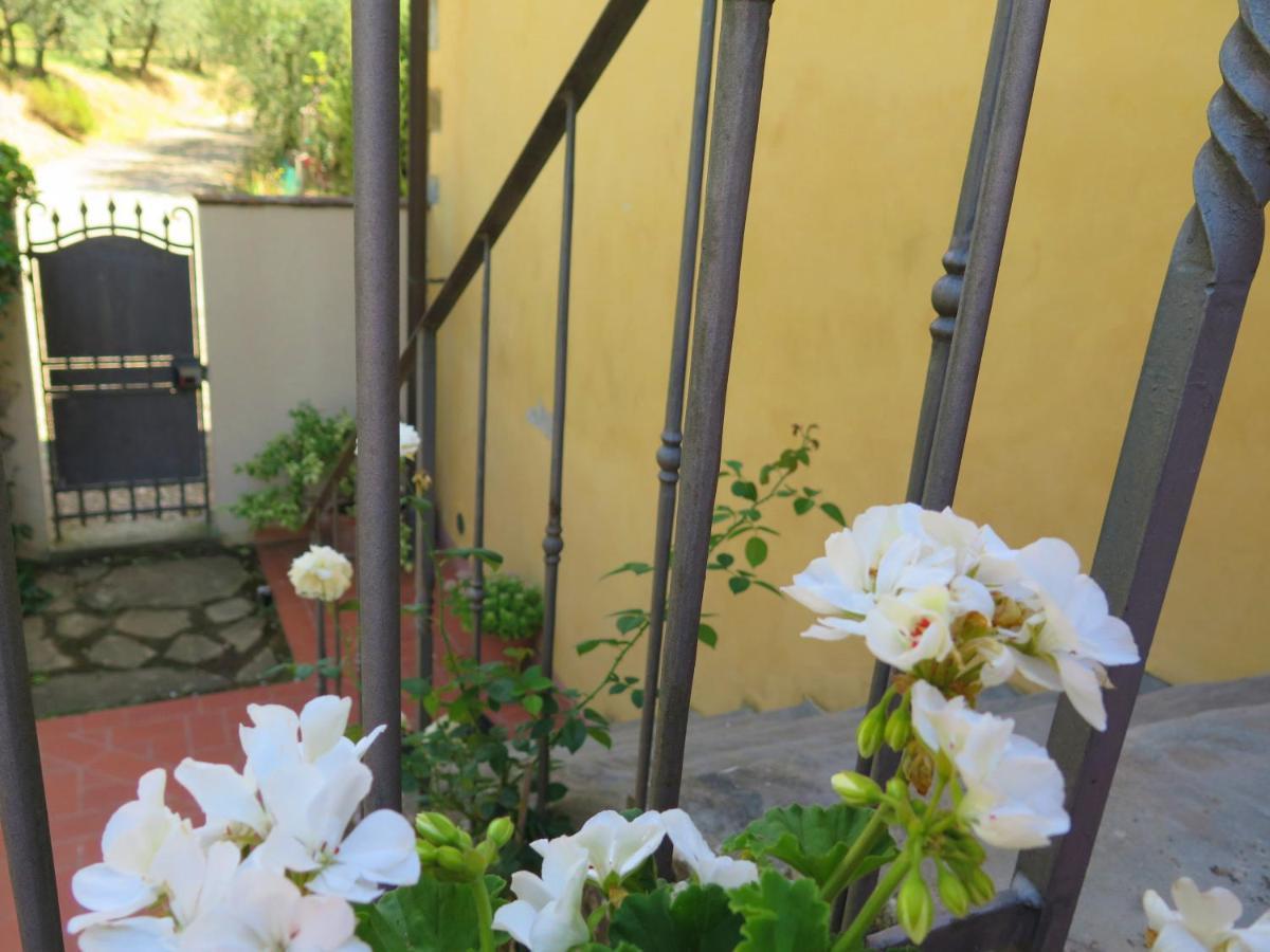 La Casa Delle Rose Villa Terranuova Bracciolini Dış mekan fotoğraf