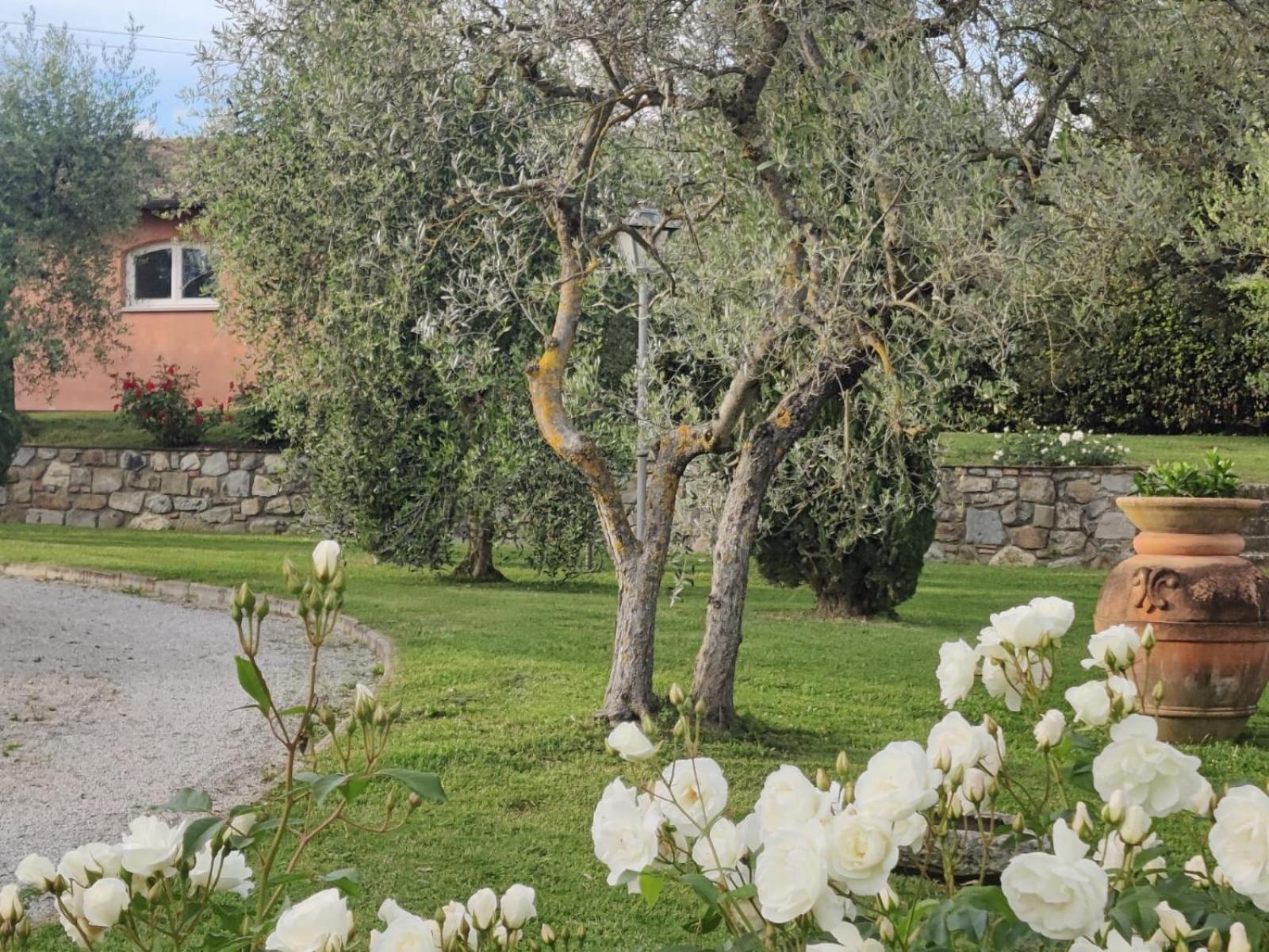La Casa Delle Rose Villa Terranuova Bracciolini Dış mekan fotoğraf